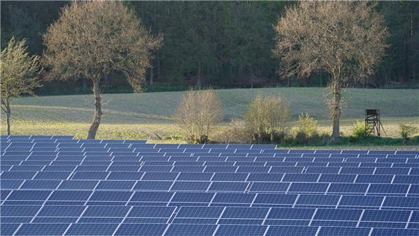 Ein Solarpark soll in Sellstedt Strom für ein Neubaugebiet liefern. Mit Hilfe von Wasserstoff könnte der Strom gespeichert und auch in den Wintermonaten genutzt werden. 