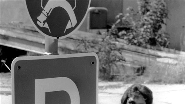 Sommer 1984: Mit einem eigens entworfenen Zeichen erinnert eine Fabrik ihre Mitarbeiter daran, vor dem Verlassen des Parkplatzes den Sicherheitsgurt anzulegen.
