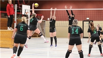 SV Nordenham Volleyball