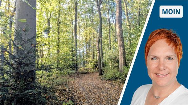 Auf Bremerhaven-Entdeckungstour: Unbekannte Wege und versteckte Ecken Geteiltes Bild: Blick in einen Bremerhavener Park, Foto der Autorin der Kolumne.