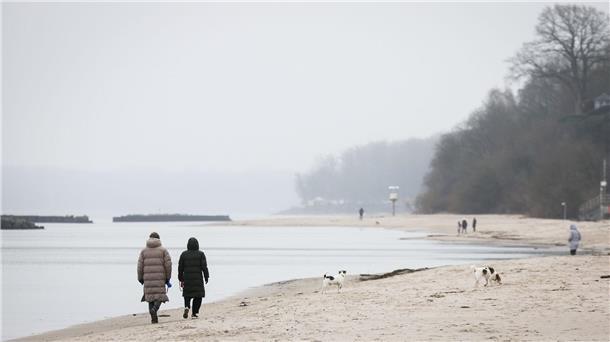 Wetterdienst sieht kaum Chancen für weiße Weihnachten Spaziergänger mit Hunden sind bei leichtem Nieselregen am Strand von Schilksee bei Kiel.