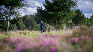 Eine Person mit Rollator in der Heide.