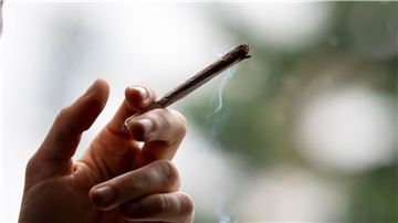 SPD, Grüne und FDP wollen eine kontrollierte Abgabe von Cannabis an Erwachsene zu Genusszwecken in lizenzierten Geschäften einführen.