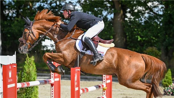 Springreiter Josch Löhden gewann den Großen Preis bei den Elmloher Reitertagen.