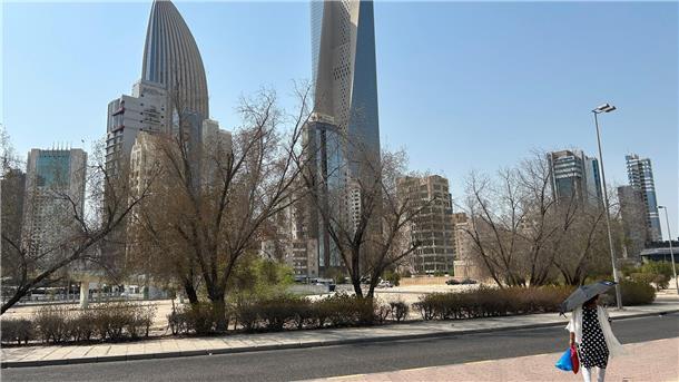 Hitze in Kuwait: Wenn das Leben draußen verschwindet Stadtbäume sind in vielen Teilen Kuwaits vetrocknet.