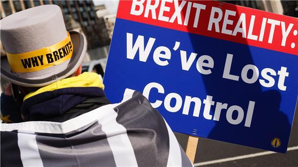 Ein Mann mit einem Schild mit der Aufschrift „Brexit Reality: We've Lost Control" und trägt dabei einen Hut mit der Aufschrift „Why Brexit?". 
