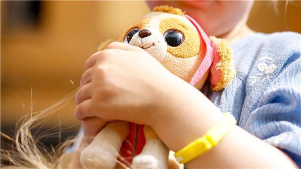 Star Wars, Harry Potter, Pokémon: Lizenzspielzeuge im Handel Stoffhund von PAW Patrol. In Spielzeuggeschäften hat man oft die Qual der Wahl.