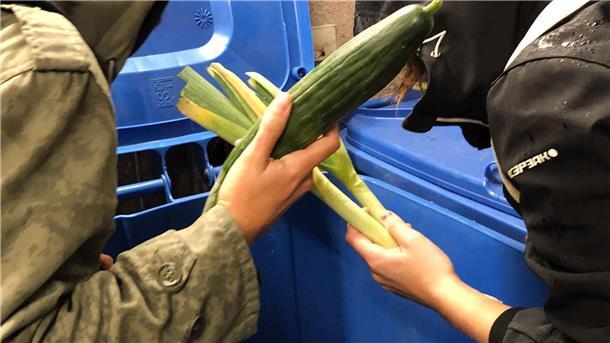 Studenten nehmen weggeschmissene Lebensmittel aus einer Mülltonne.