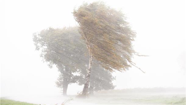 Sturm-Bilanz: Tief „Bernd“ fegt über Bremerhaven und die Region hinweg Sturmtief „Bernd“ ist über Norddeutschland hinweggezogen (Symbolbild).
