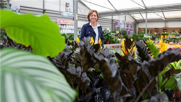 Beliebtes Gartencenter Wassenaar: Schließung sorgt für Diskussionen Frau mit Pflanzen