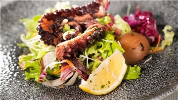Gegrillter Oktopus liegt auf einer Salatbeilage auf einem Teller.