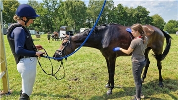Zwei Frauen mit einem Pferd.