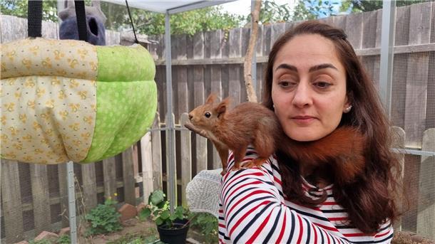 „Schockverliebt“ in verwaiste Eichhörnchen Tierschützerin Mona Gahrib hat ein Eichhörnchen auf der Schulter.