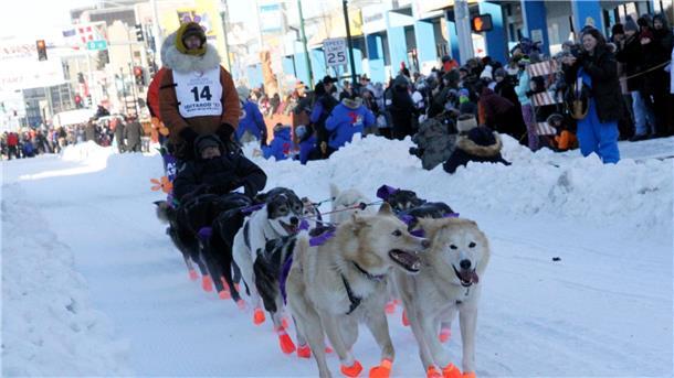 Hundeschlitten konkurrieren beim Iditarod-Rennen Titelverteidiger Brent Sass beim feierlichen Start in der Innenstadt von Anchorage.