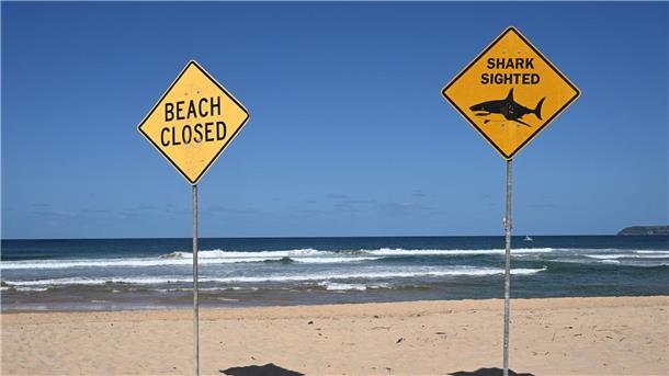 Tödliche Haiangriffe sind selten in Australien - dieses Jahr gab es aber schon mehrere. (Archivbild)