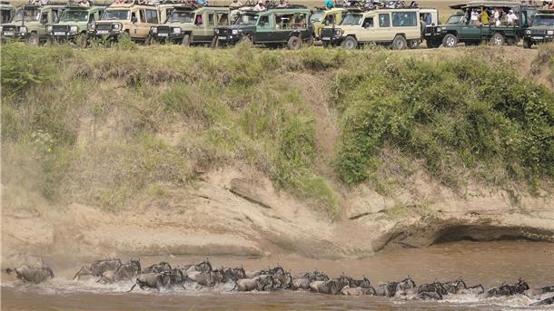 Touristen versammeln sich in der Nähe des Mara-Flusses im Masai Mara Nationalreservat, um die alljährliche Wanderung von rund 1,5 Millionen Gnus zu beobachten.