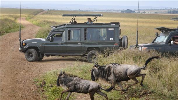 Touristen versammeln sich in der Nähe des Mara-Flusses im Masai Mara Nationalreservat, um die alljährliche Wanderung von rund 1,5 Millionen Gnus zu beobachten.