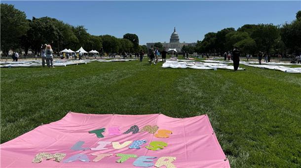 Angst, Widerstand - Wie Transpersonen unter Trump leben „Trans Lives Matters“ - auf der National Mall vor dem Kapitol sind am ersten Tag der Worldpride verschiedene Banner zu sehen, auf denen die Rechte von Transpersonen eingefordert werden.