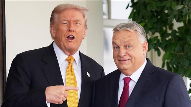 Trump und Orban sind in vielen Fragen einer Meinung.