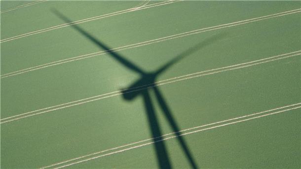 Schatten eines großen Windrads fällt auf ein grünes Feld mit parallelen Fahrspuren.