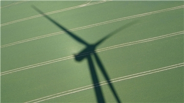 Schatten eines großen Windrads fällt auf ein grünes Feld mit parallelen Fahrspuren.