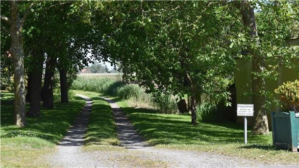 Schotterweg zwischen Bäume in Eckwarden, Butjadingen