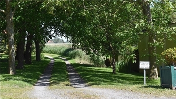 Schotterweg zwischen Bäume in Eckwarden, Butjadingen