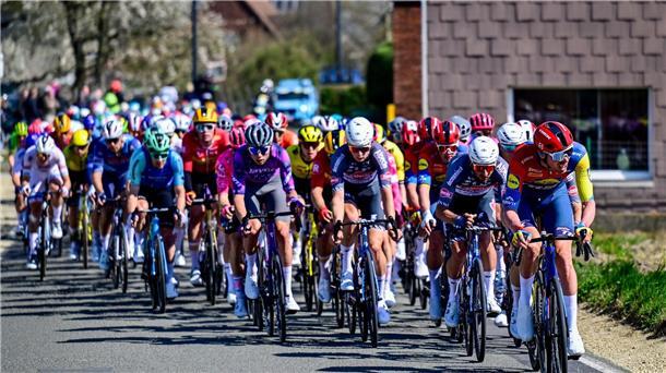 Test vor Flandern-Rundfahrt: Politt stürzt, Van Aert düpiert Über mehr als 180 Kilometer ging es quer durch Flandern.