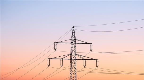 Über Netzentgelte wird unter anderem der teure Ausbau der Stromnetze finanziert. (Archivbild)
