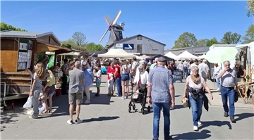 **ALT-Text:**
Besucher schlendern bei sonnigem Wetter über das gut besuchte Mühlenfest in Aschwarden, im Hintergrund die historische Windmühle und Marktstände.