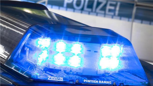 Schlange in Altkleidercontainer gefunden Überraschung beim Ausleeren eines Altkleidercontainers: Eine Schlange steckt in einem zugeschnürten Kopfkissenbezug. (Symbolbild)
