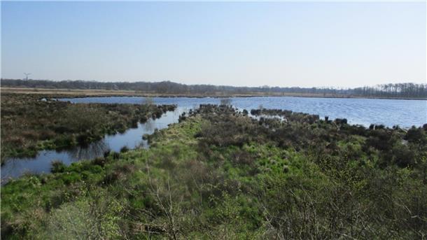 Um auf häufiger auftretende Extremwetterereignisse mit Starkregen und Binnenhochwasser im Landkreis besser reagieren zu können, ist für den Stinstedter Seepolder eine Neukonzeption des Wassermanagements mit einem Ausbau der Wasserrückhaltung geplant.