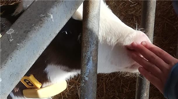 Lehrerfortbildung vor Ort: Landvolk lädt gezielt zu sich auf die Höfe ein Um Aufklärung zu betreiben, hat das Landvolk Niedersachsen, Kreisverband Bremervörde e.V., mit BAUER e.V. und LANDWIRT e.V. zwei Fördervereine ins Leben gerufen, die Besuchergruppe auf ihre Höfe einladen und über die moderne Landwirtschaft aufklären.