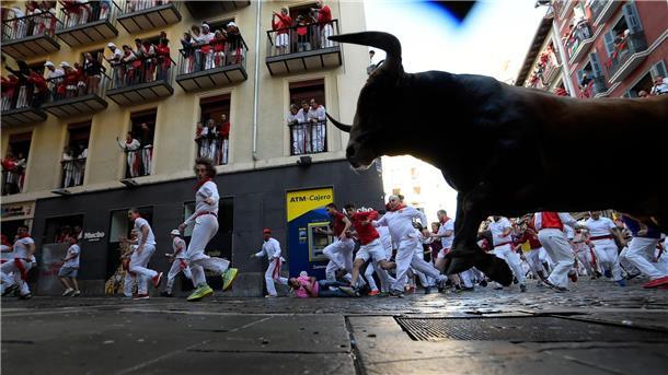 Um die 600 Kilogramm schwere Muskelpakete, bis zu 40 Sachen schnell und nicht zum Spaßen aufgelegt - Kampfstiere bei den berühmten und umstrittenen Stierhatzen im nordspanischen Pamplona.