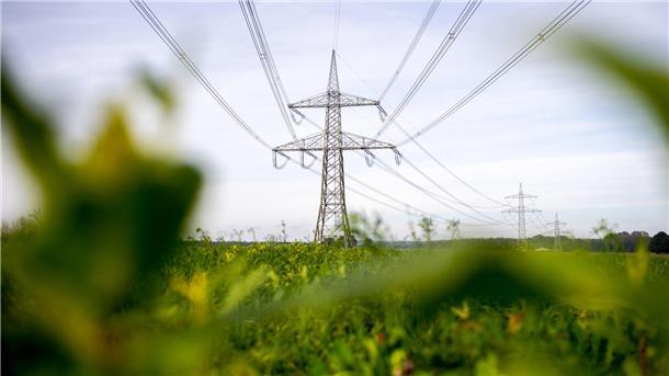 Um die Herausforderungen beim Ausbau des Stromnetzes zu meistern, ist der Landkreis Wesermarsch der "Hamelner Erklärung" beigetreten.