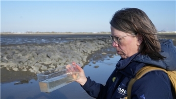 Um die Vielfalt des Lebens im Watt sichtbar zu machen, hat Wattführerin Kristina Baginski ein paar winzige Plattfische gekeschert. Gleich dürfen die Minifische in den Priel im Watt vor Dorum-Neufeld zurück.
