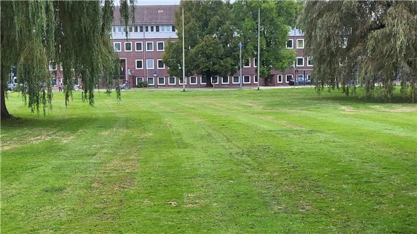 Um ihren Anteil an naturnah bewirtschafteten, arten- und strukturreichen Grünflächen zu erhöhen, will die Stadt ihr Grünflächenmanagement verändern. In einer ersten Etappe sollen im kommenden Jahr fünf große Rasenflächen in Wiesenflächen umgewandelt werden - darunter diese vor dem Rathaus.