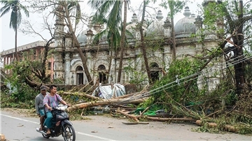 Umgestürzte Bäume in der Nähe einer Moschee in Myanmar nach dem Zyklon „Mocha“.