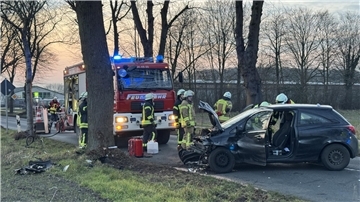 Unfall Auto Baum