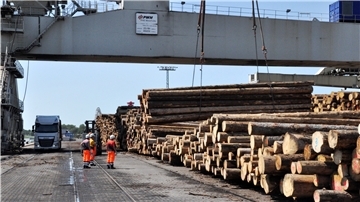 Ungewohnter Anblick in Nordenham: Die Midgard verschifft Holz aus deutschen Wäldern nach China.