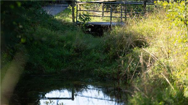 Unter der Brücke hatten Anwohner schon früh den Geruch mitbekommen.