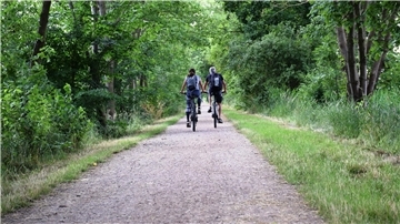 Eine Radfahrerin fährt am Deich entlang.
