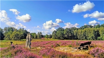 Unterwegs auf dem Nordpfad Wümme und Vareler Heide gelangt der Wanderer durch eine idyllische Heidelandschaft und kommt an der Skulptur „Begegnung“ der Künstlerin Gisela Milse vorbei.