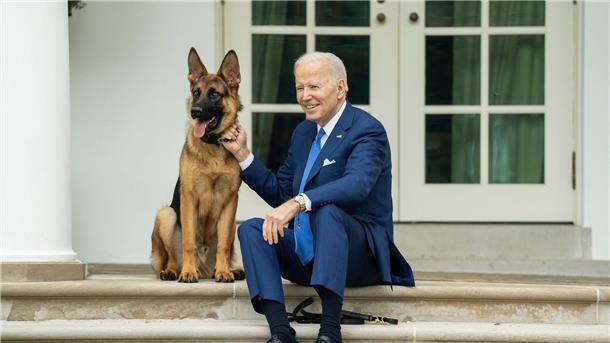 Heiß geliebt und umstritten - Der deutsche Schäferhund US-Präsident Joe Biden mit seinem Hund auf den Stufen vor dem Weißen Haus.