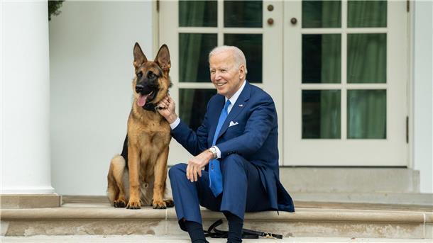 Nach Bissen: Hund von Joe Biden nicht mehr im Weißen Haus US-Präsident Joe Biden und sein Deutscher Schäferhund „Commander“.
