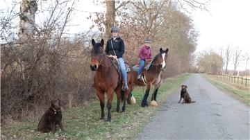 Vanessa Hahn (links) und Katharina Tietje waren mit ihren Pferden und Hunden auf einem Wirtschaftsweg in Debstedt unterwegs, als es zur unliebsamen Begegnung mit Bernd Demelt kam.