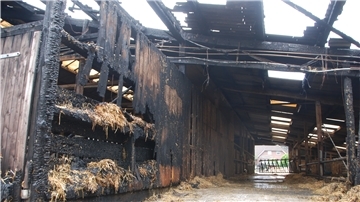 Verbranntes Holz, Löschwasser auf dem Boden: Das Feuer hat ordentlich gewütet im Boxenlaufstall von Jörg Rademacher. Doch alle 125 Rinder konnten – dank tatkräftiger Hilfe von Nachbarn und anderen Flögelnern – rechtzeitig in Sicherheit gebracht werden. Fotos: Schoener