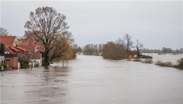 Verden: Hochwasser hat die Aller an der Altstadt von Verden über die Ufer treten...