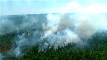 Verheerende Waldbränden machen den russischen Behörden vor allem in Sibirien jedes Jahr zu schaffen. (Archivbild)