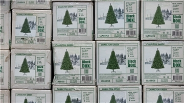 Verpackte Weihnachtsbäume aus Kunststoff (PVC) in einem Baumarkt.